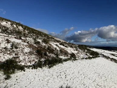 IMG_7805.jpg?type=w386