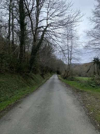 IMG_8168.jpg?type=w386