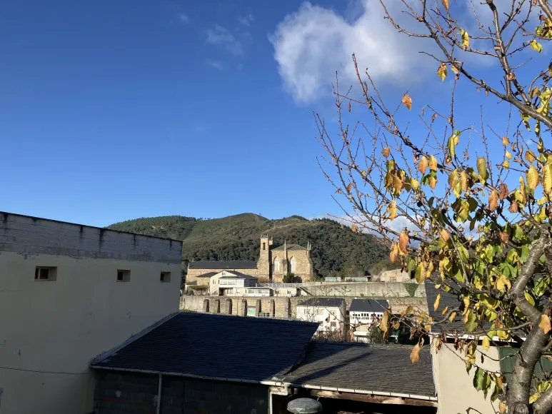 IMG_7558.jpg?type=w773