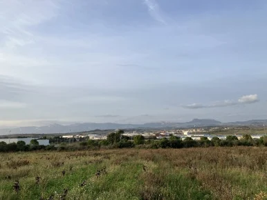 IMG_2898.jpg?type=w386