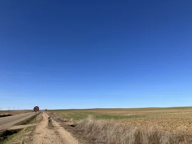 IMG_4885.jpg?type=w386