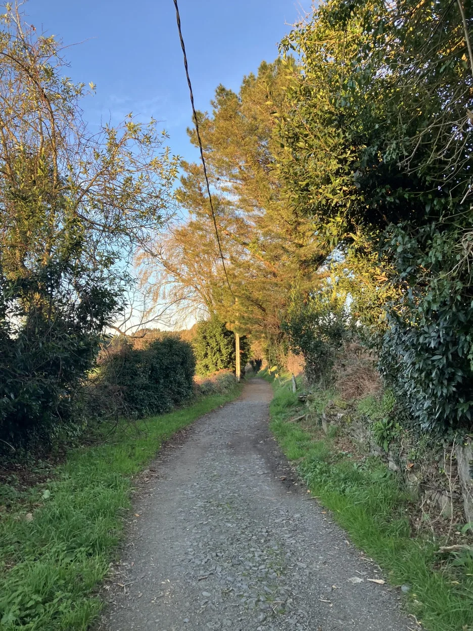 IMG_9544.jpg?type=w1