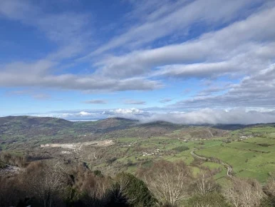 IMG_8073.jpg?type=w386