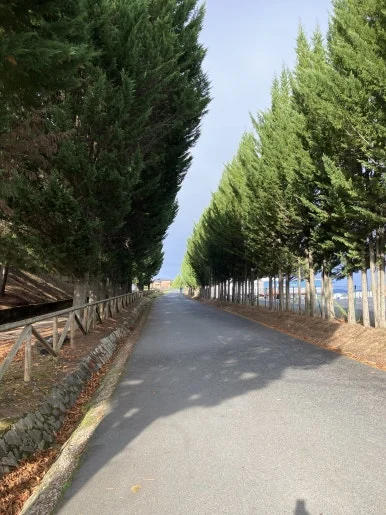 IMG_7424.jpg?type=w386