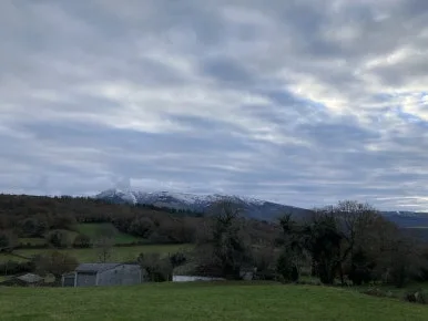 IMG_8208.jpg?type=w386