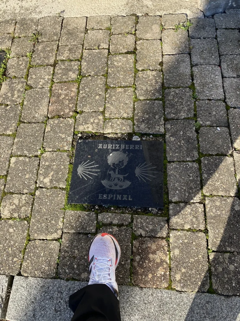 IMG_2066.jpg?type=w773