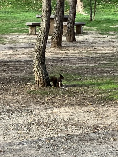 IMG_2982.jpg?type=w386