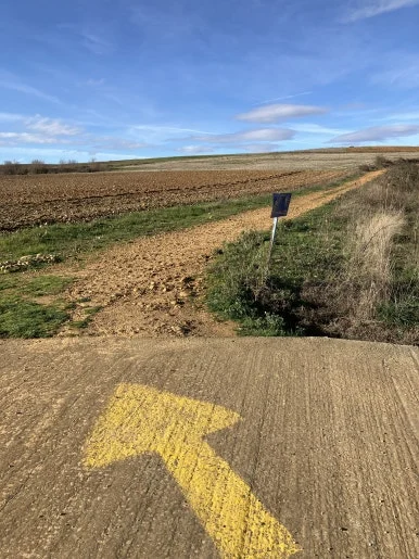 IMG_6335.jpg?type=w386