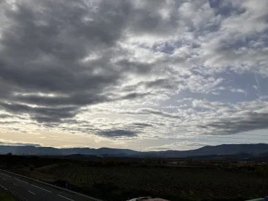 IMG_3006.jpg?type=w386