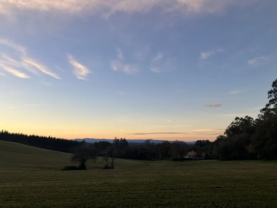 IMG_9525.jpg?type=w1