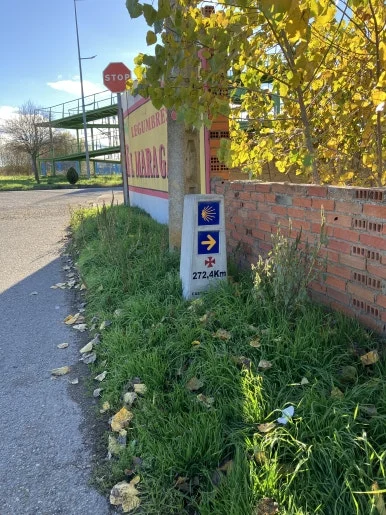 IMG_6477.jpg?type=w386