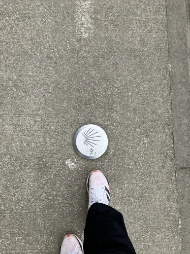 IMG_2215.jpg?type=w386