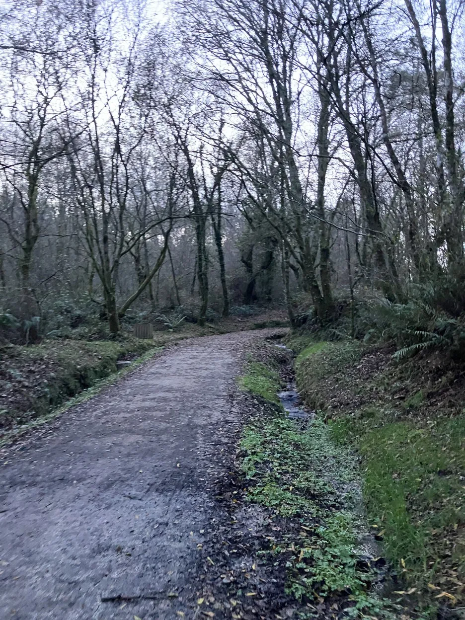 IMG_9441.jpg?type=w1