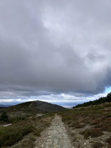 IMG_6992.jpg?type=w386