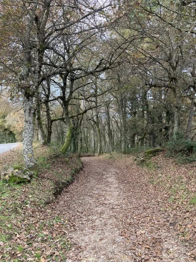 IMG_8228.jpg?type=w386