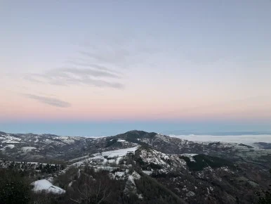 IMG_7928.jpg?type=w386