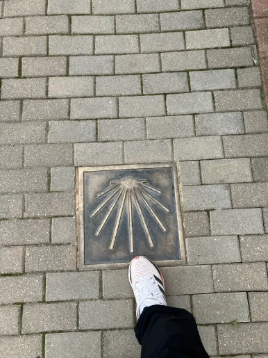 IMG_3159.jpg?type=w386