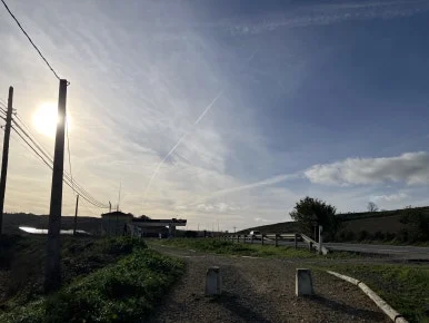 IMG_3516.jpg?type=w386