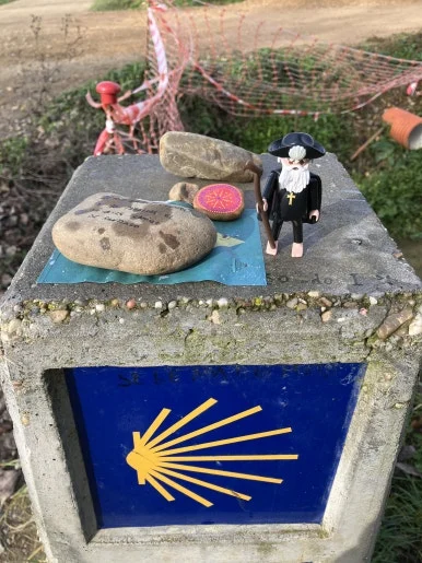 IMG_7455.jpg?type=w386