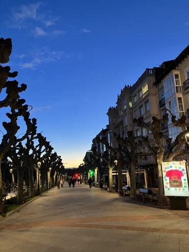 IMG_4374.jpg?type=w386