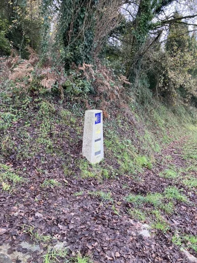 IMG_8314.jpg?type=w386