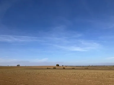 IMG_4957.jpg?type=w386