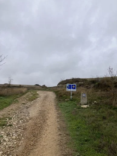 IMG_4506_2.jpg?type=w386