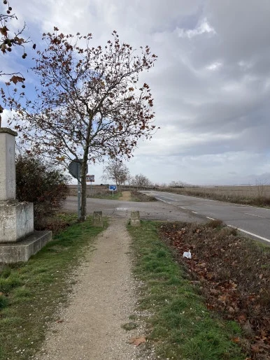 IMG_5409.jpg?type=w386