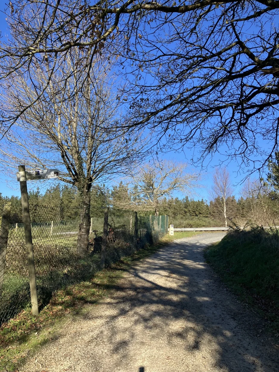 IMG_8902.jpg?type=w1