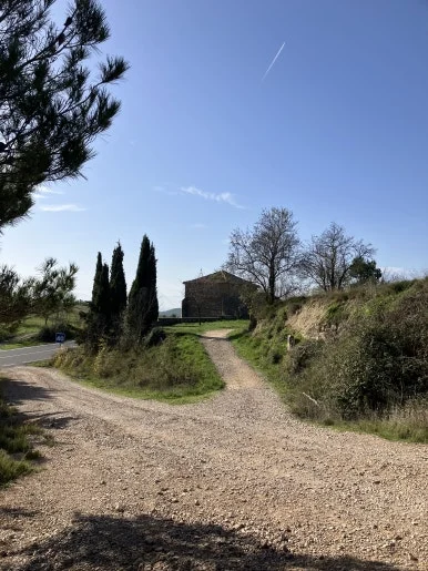 IMG_2783.jpg?type=w386