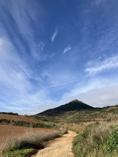 IMG_2617.jpg?type=w386