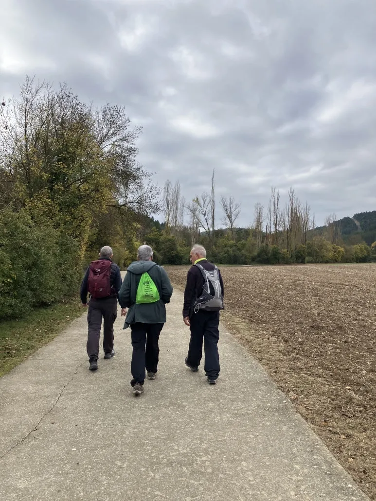 IMG_2178.jpg?type=w773