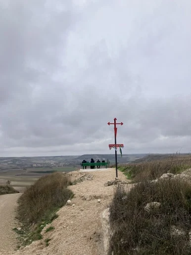 IMG_4512_2.jpg?type=w386