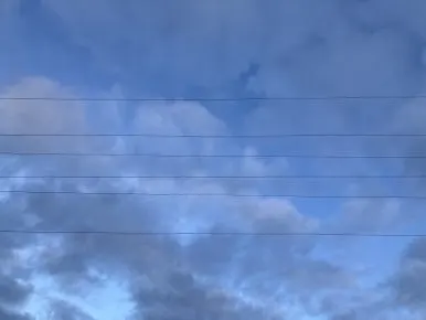 IMG_5506.jpg?type=w386