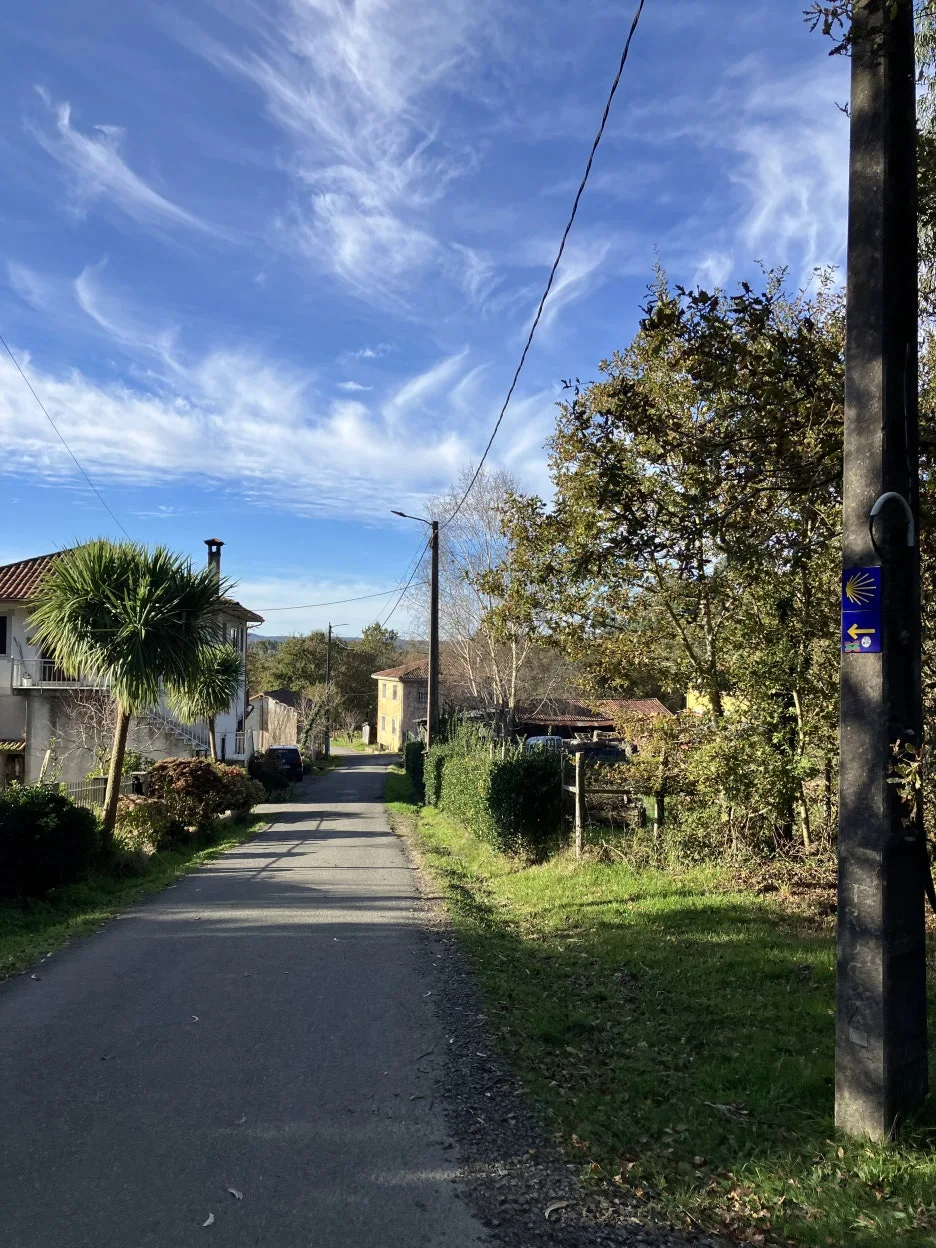 IMG_9608.jpg?type=w1