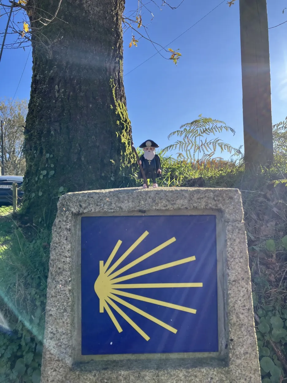 IMG_9004.jpg?type=w1