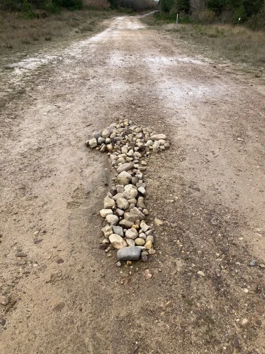 IMG_3629.jpg?type=w386