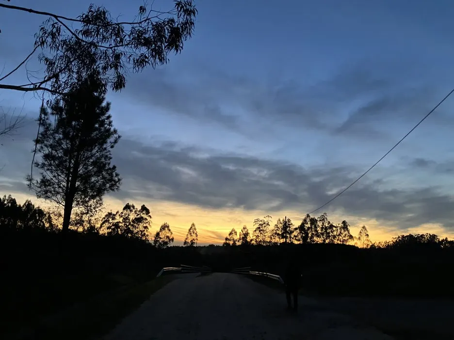 IMG_9453.jpg?type=w1