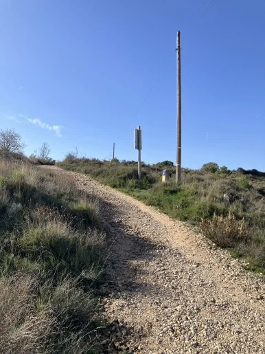 IMG_2782.jpg?type=w386