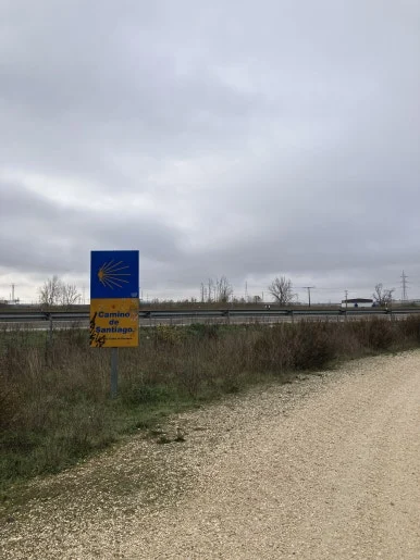 IMG_4437_2.jpg?type=w386