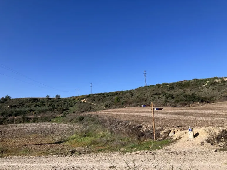 IMG_2474.jpg?type=w773