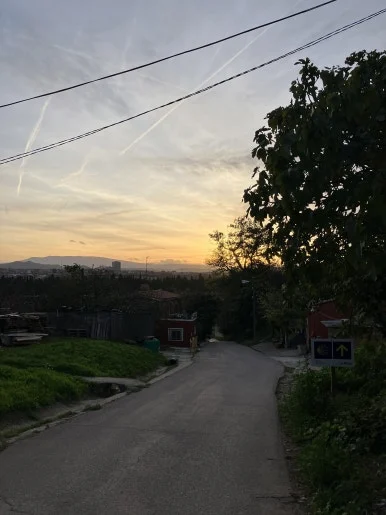 IMG_2905.jpg?type=w386