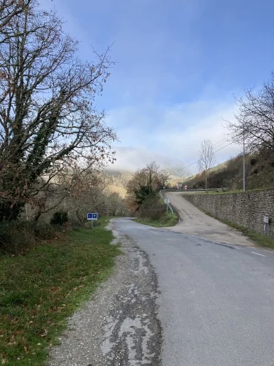 IMG_7649.jpg?type=w386