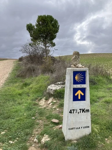 IMG_4548_2.jpg?type=w386