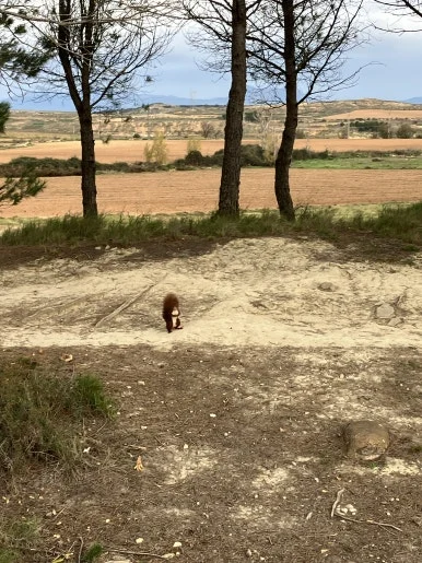 IMG_2970.jpg?type=w386