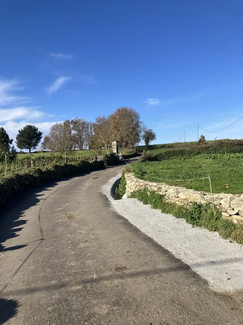 IMG_8556_2.jpg?type=w1