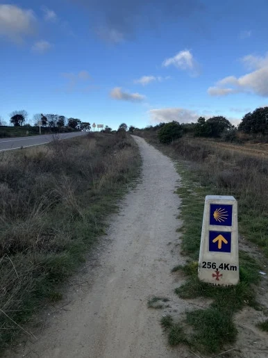 IMG_6630_2.jpg?type=w386