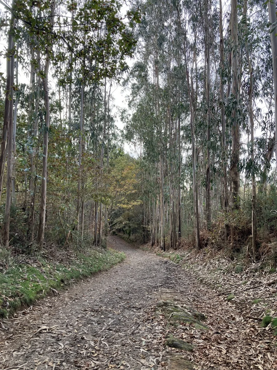 IMG_9728.jpg?type=w1