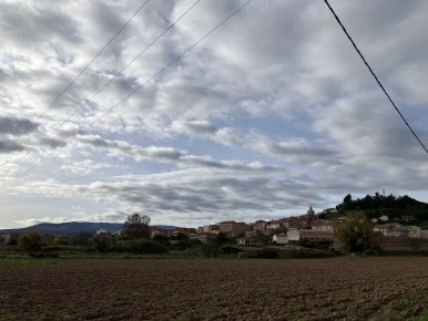 IMG_3013.jpg?type=w386