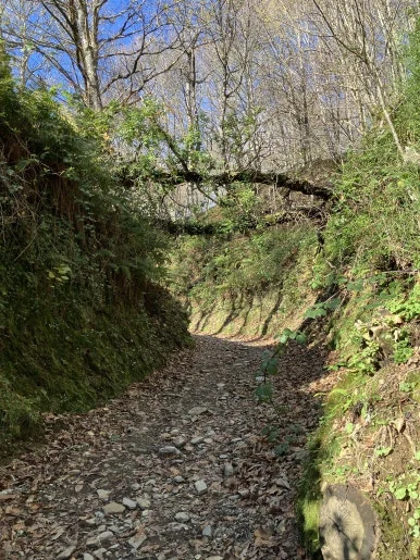 IMG_7745.jpg?type=w386